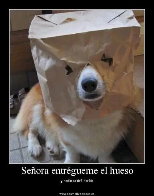 risas