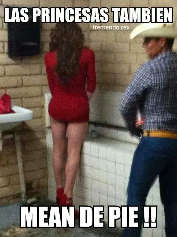imagenes chistosas