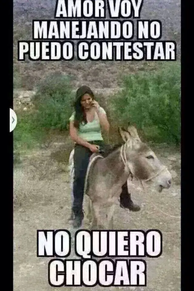 +5 Si te saco unas risas Papu!!!