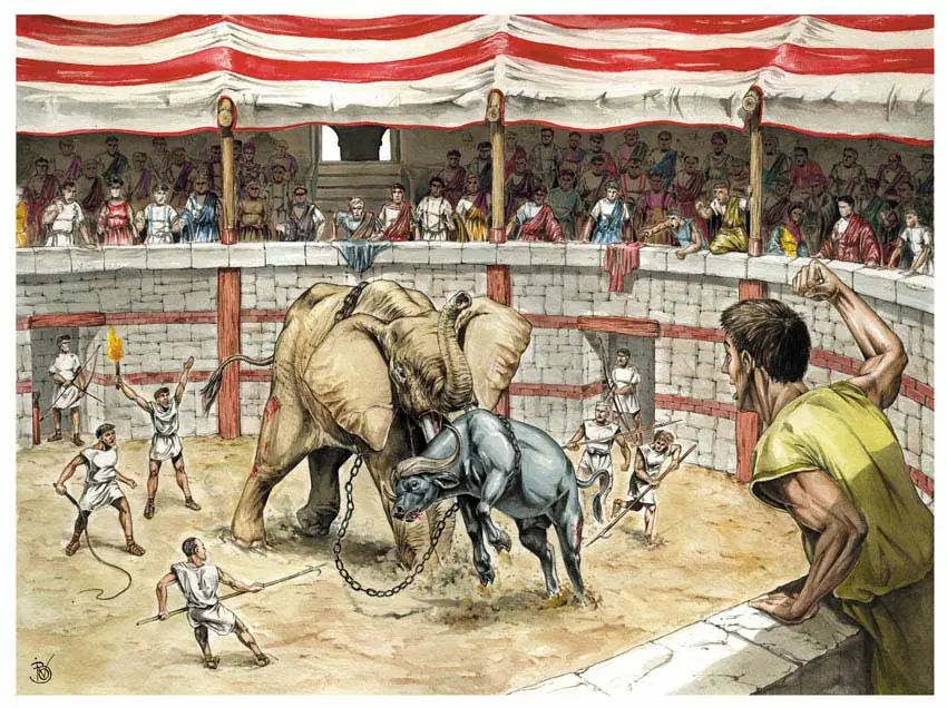 animales