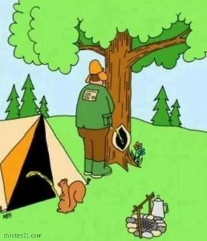 imagenes divertidas