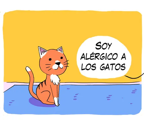 imagenes divertidas