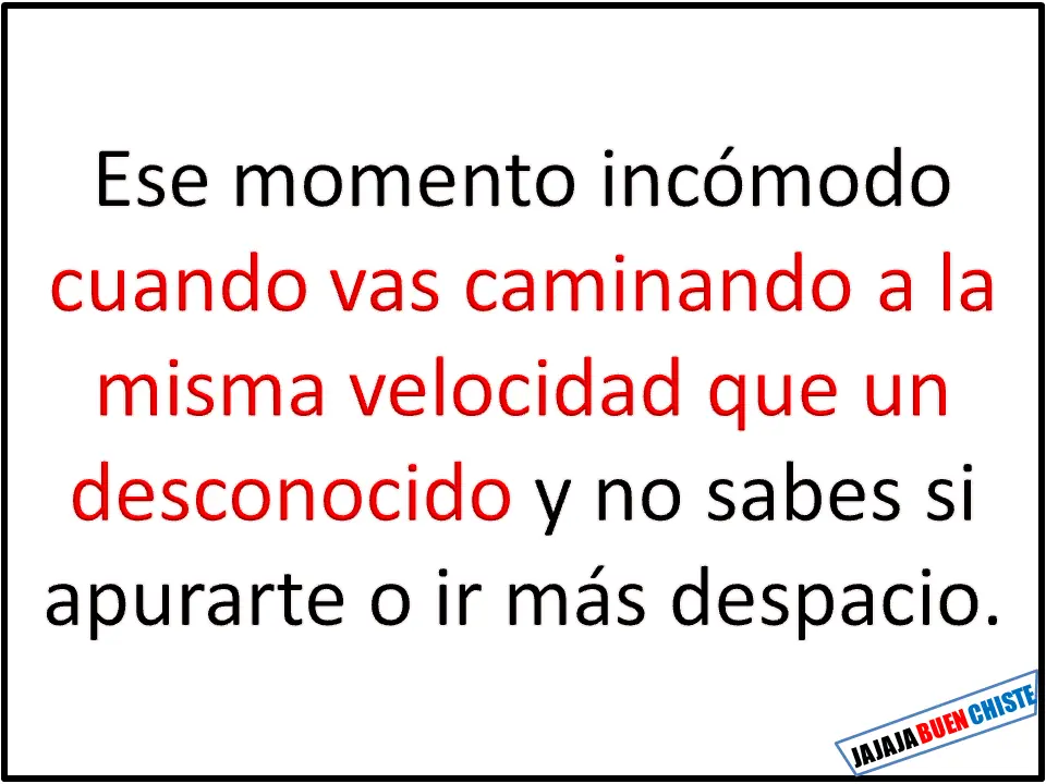 imagenes divertidas