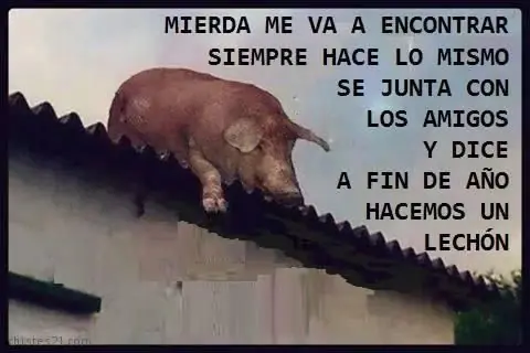 imagenes divertidas