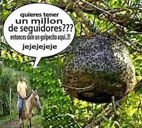 humor de viernes
