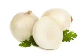 cebolla