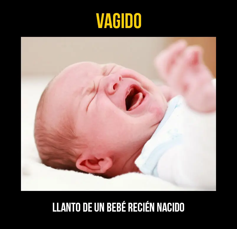 cosas comunes