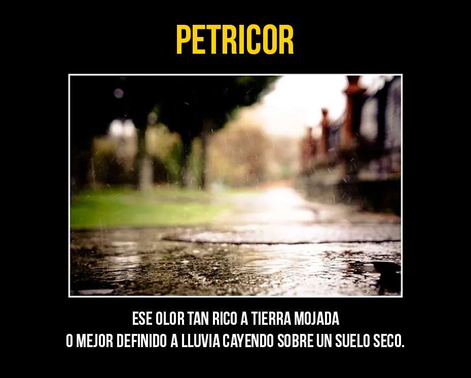 coso