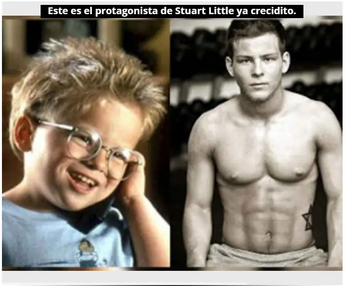 fotos