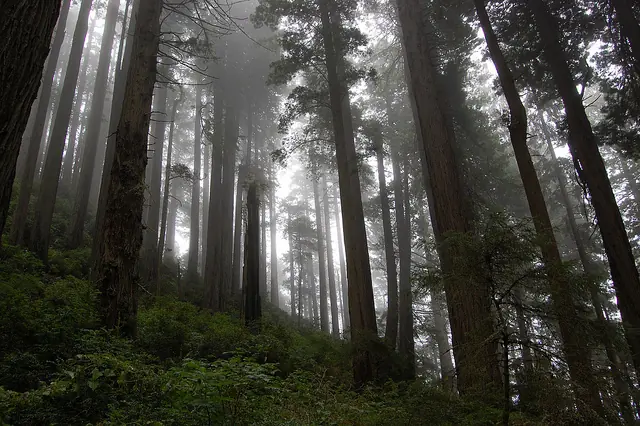 Lugares Magicos y Espectaculares de la Tierra