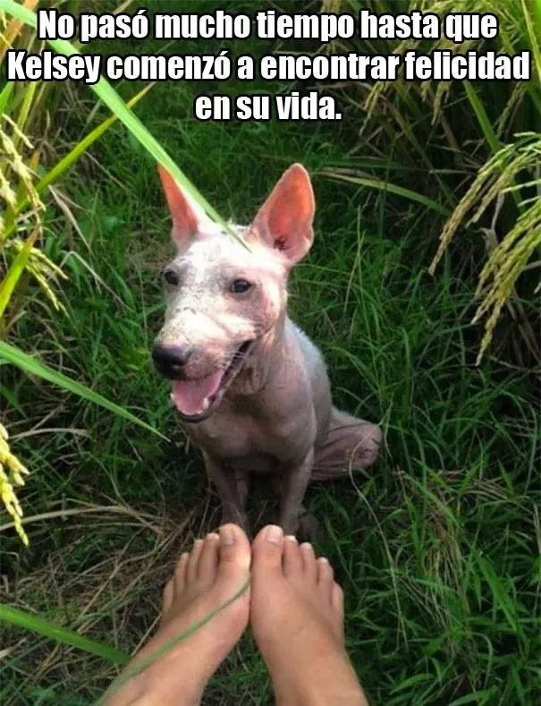 rescate
