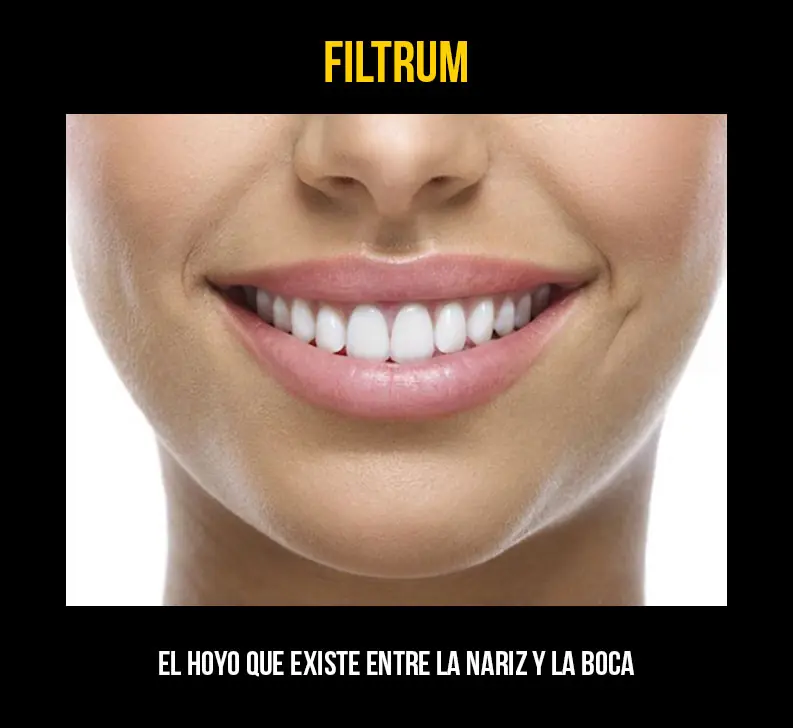 cosas comunes