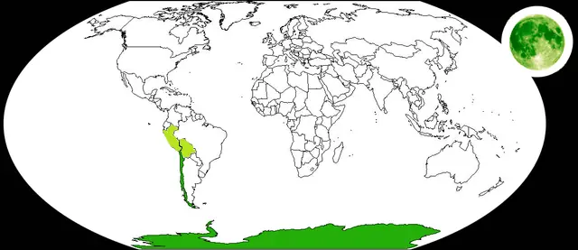 Chile: una utopía Latinoamericana