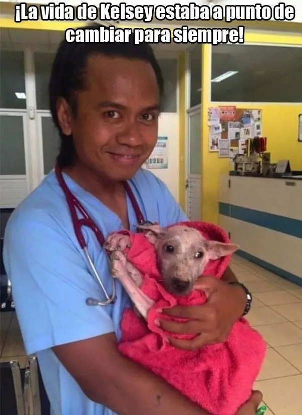 tierna recuperación de una perrita rescatada de la calle