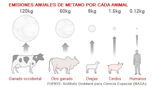 agricultura
