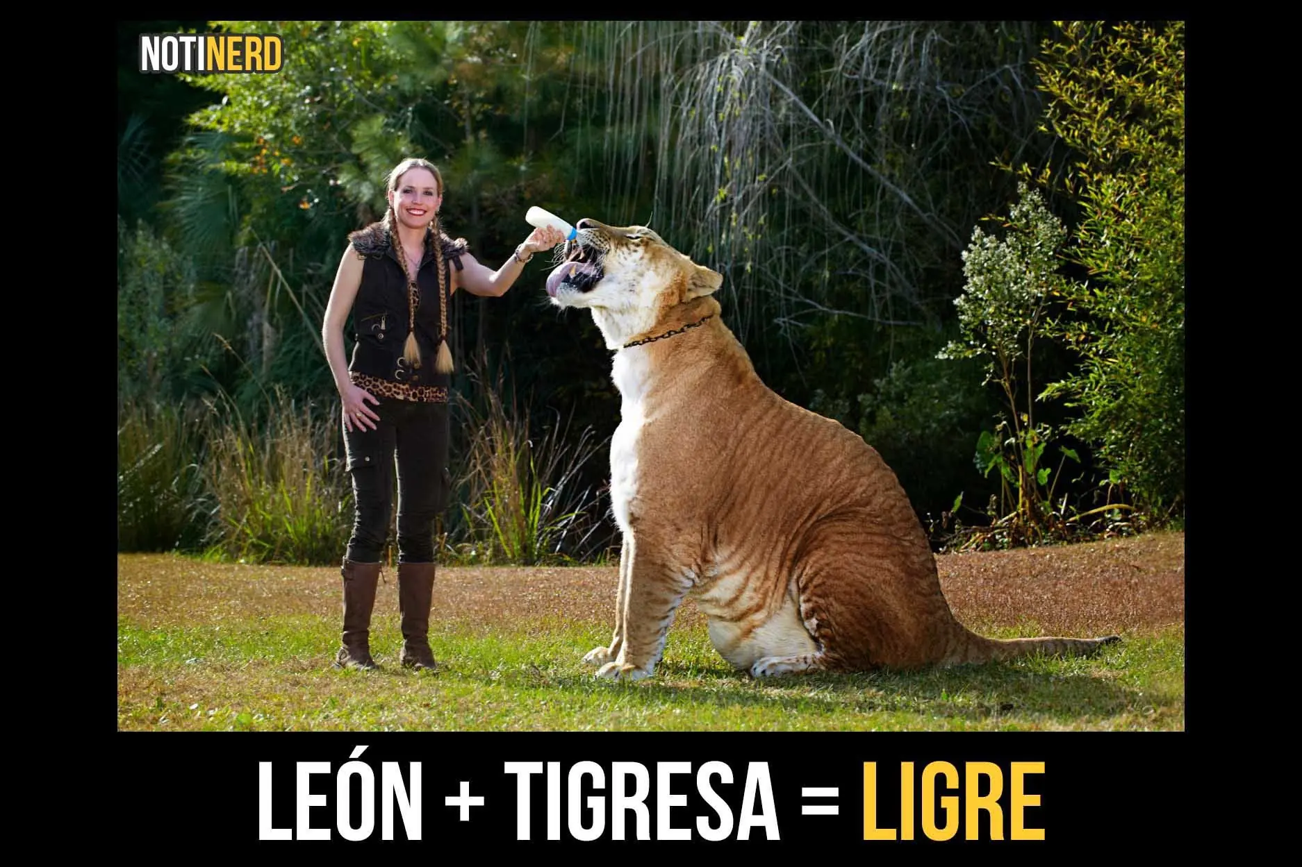 animales hibridos