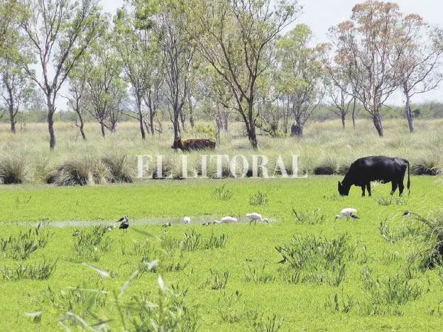 Pequeña agricultura orgánica mejor forma de alimentar mundo