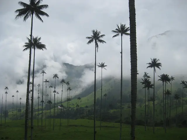 espectaculares