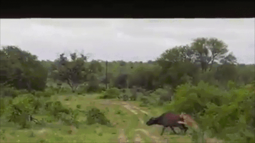 Wasted Gif para pasar la tarde de viernes