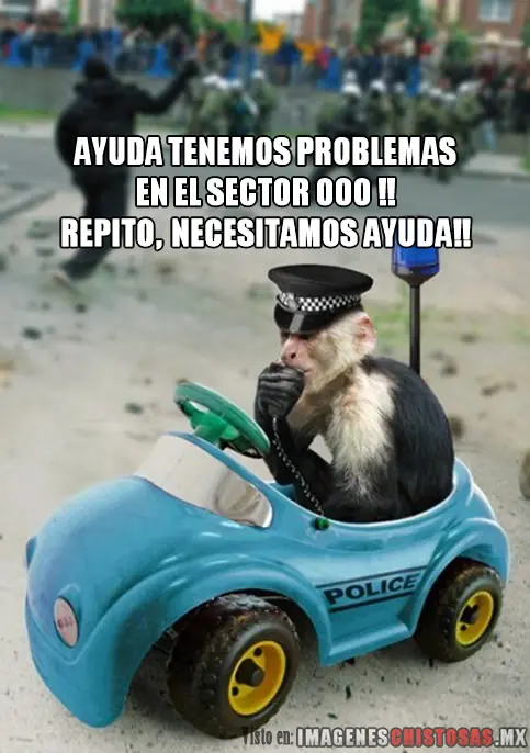 Disfruta del sabado de flojera con estas imagenes!