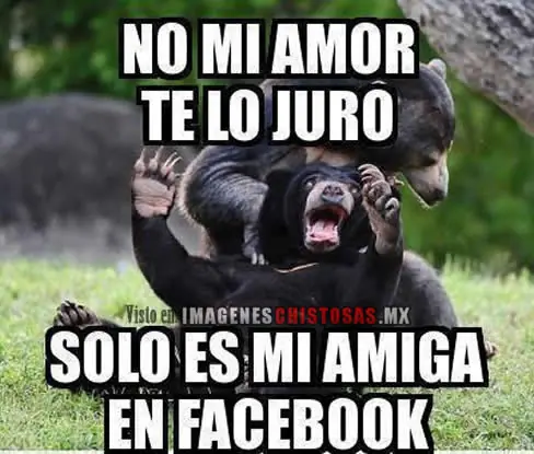 humor