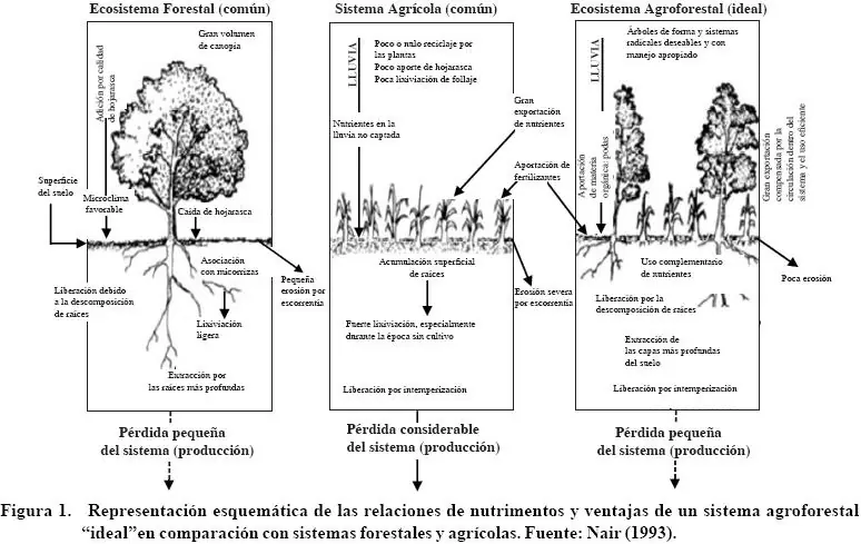 informe