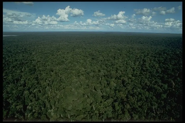 Argentina [Mega-Post]