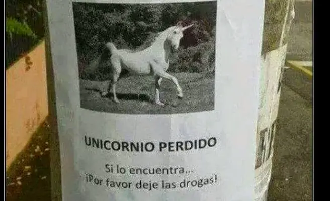 DonPajotenet