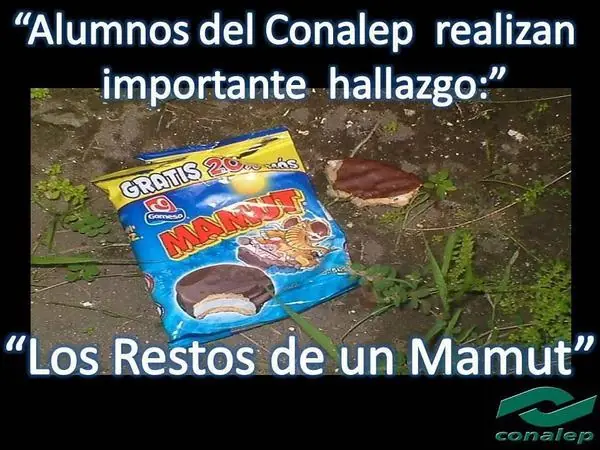 mientras tanto en el conalep