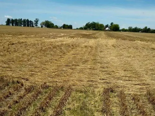 historia real extraterrestres