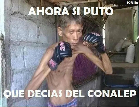 pendejas