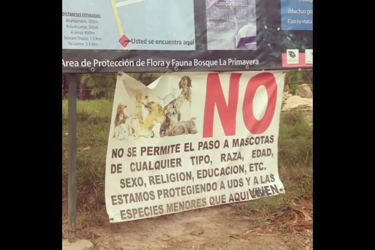 Mexicanos