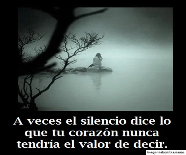 meditar