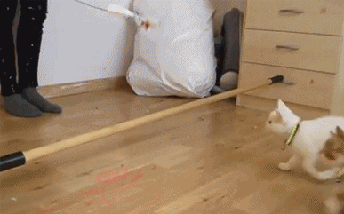 Megapost de fails (gifs)