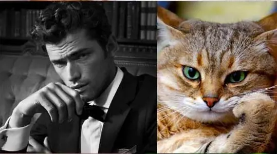 modelos masculinos