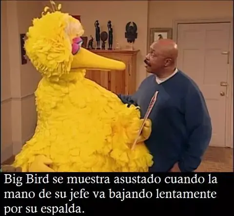 memes