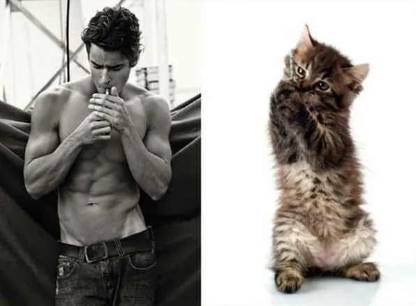 20 imágenes para chicas ;) si! gatos vs modelos masculinos!