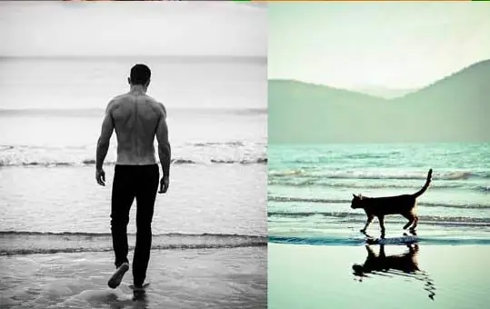 20 imágenes para chicas ;) si! gatos vs modelos masculinos!