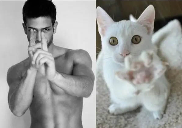 modelos masculinos