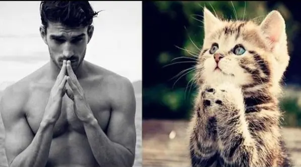 modelos masculinos
