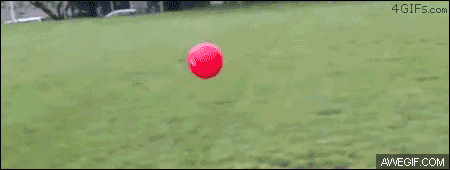 Megapost de fails (gifs)