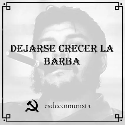 politica