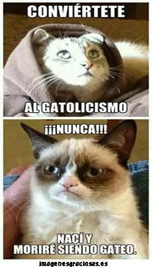 nuevo