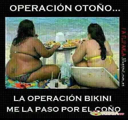 nuevo