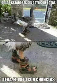humor