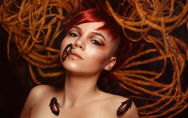 moda ponja kimo-kawa que introduce insectos en tu piel.