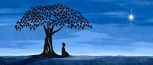 meditar meditar