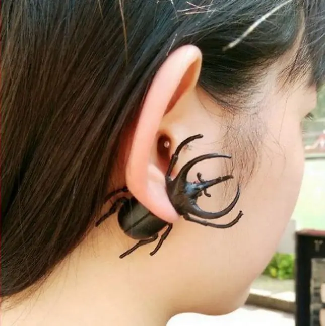 insectos