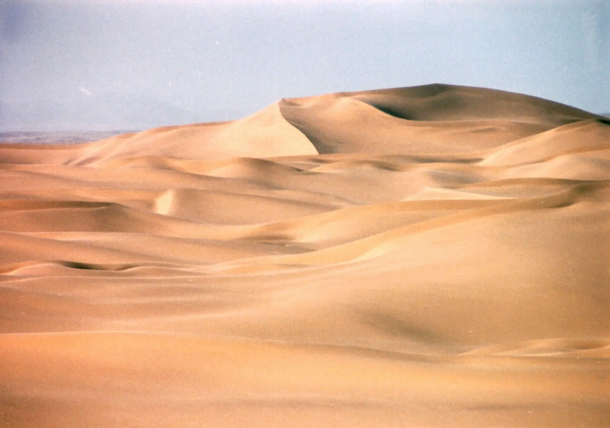 El Desierto De Los Deseos Perdidos