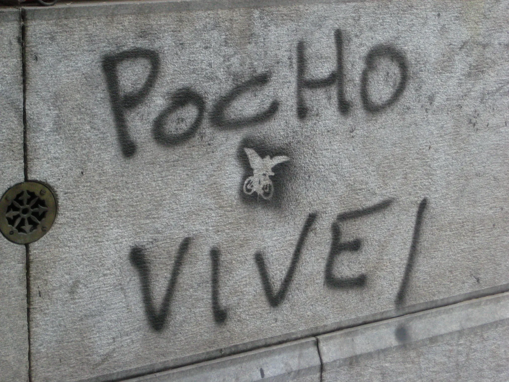 pocho